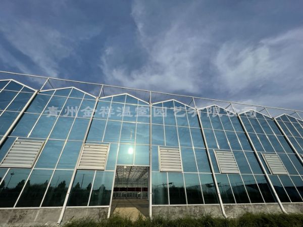 山東臨沂鍍膜玻璃溫室